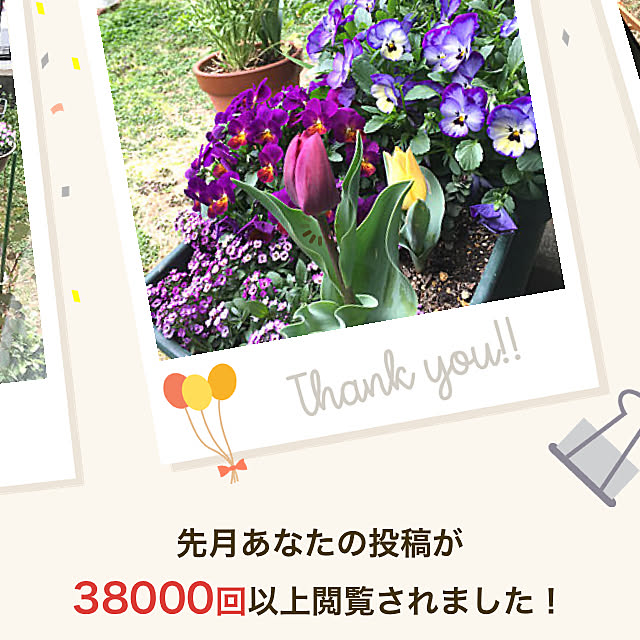 magさんの実例写真