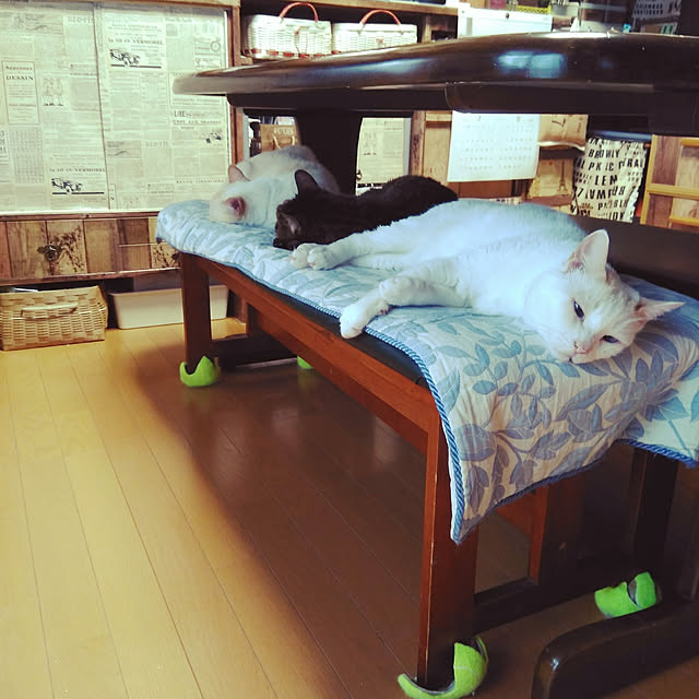posauruさんの実例写真
