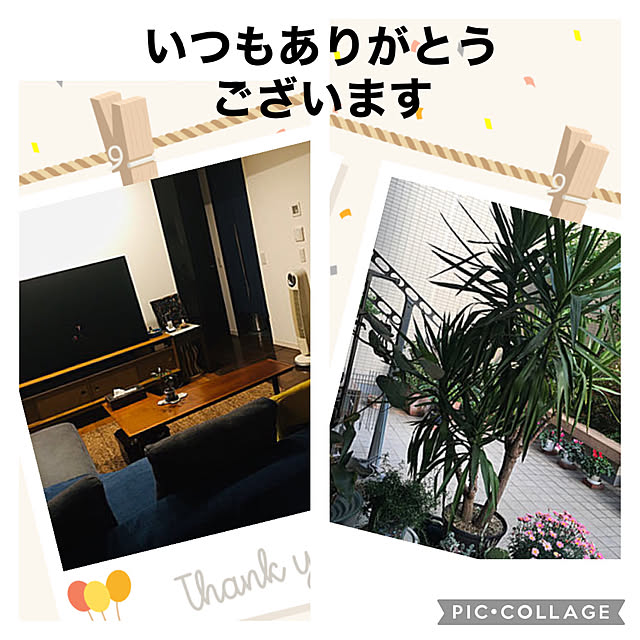 happy-sachiさんの実例写真