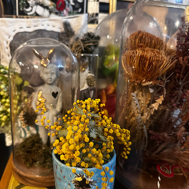 okyame-chanさんの部屋