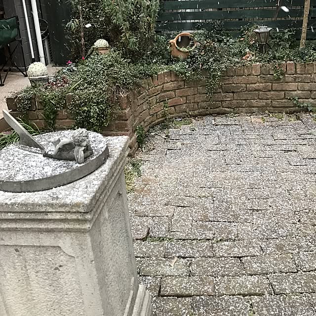 tipoさんの実例写真