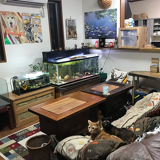 tornadeさんの実例写真