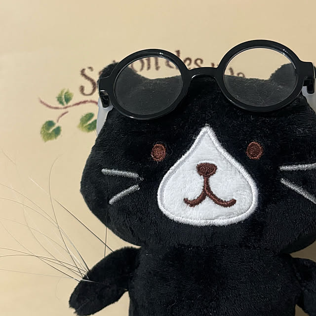momocchiさんの部屋