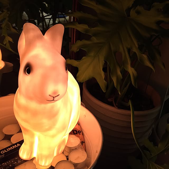 berryさんの実例写真