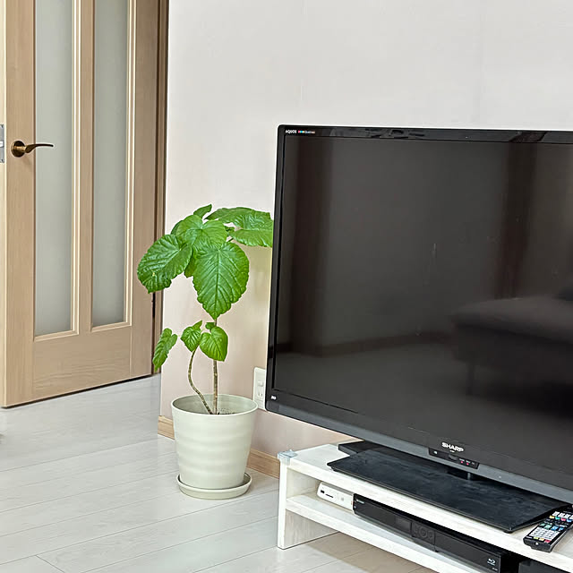 ayaさんの実例写真