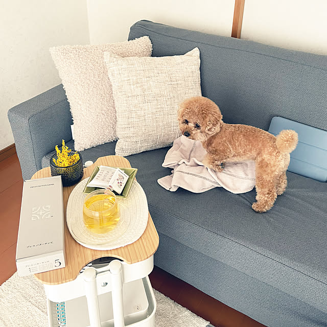 kawauso15さんの部屋