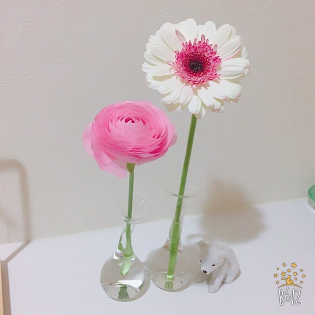 Yumiさんの実例写真