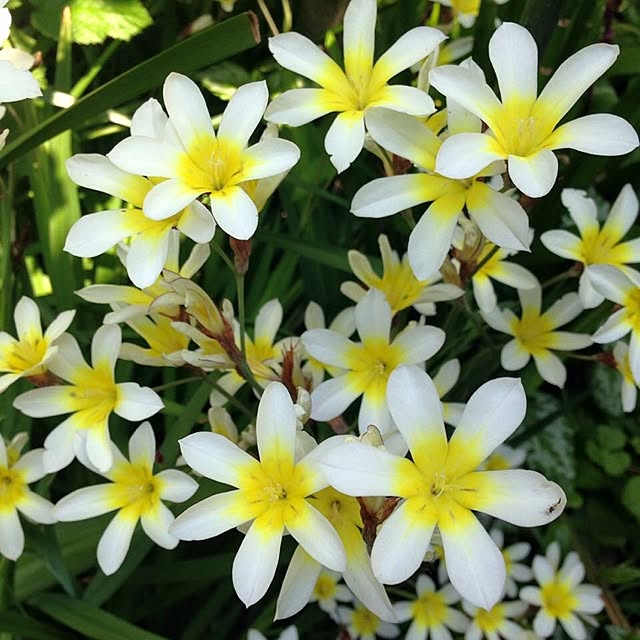 Ryokoさんの実例写真