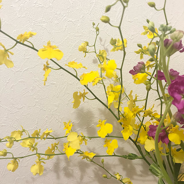 omochiさんの実例写真