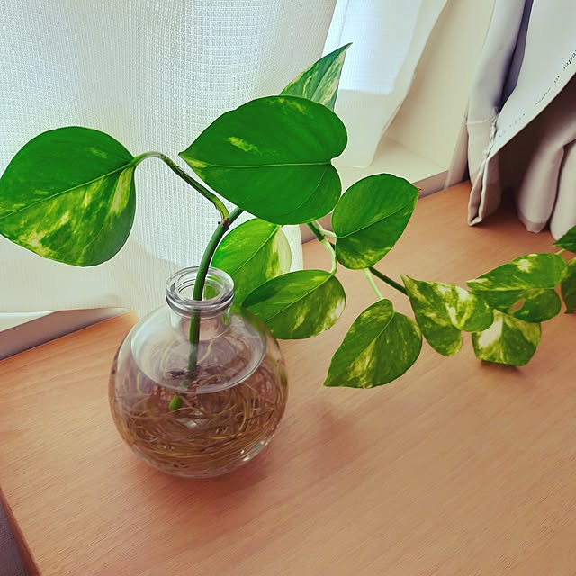 takuさんの実例写真