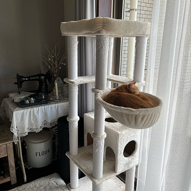 Atelier.mさんの実例写真