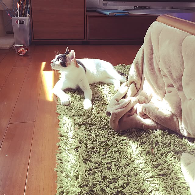 beruさんの実例写真