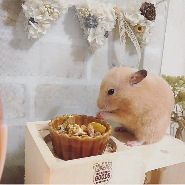 emiさんの実例写真