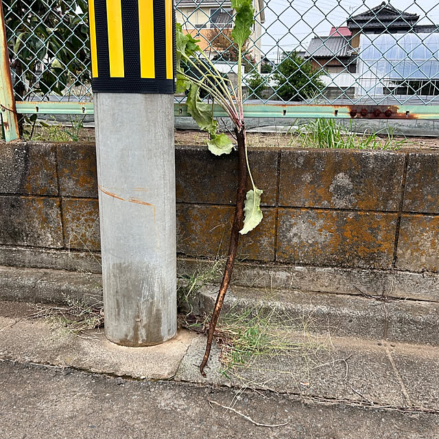 EMIKOさんの実例写真