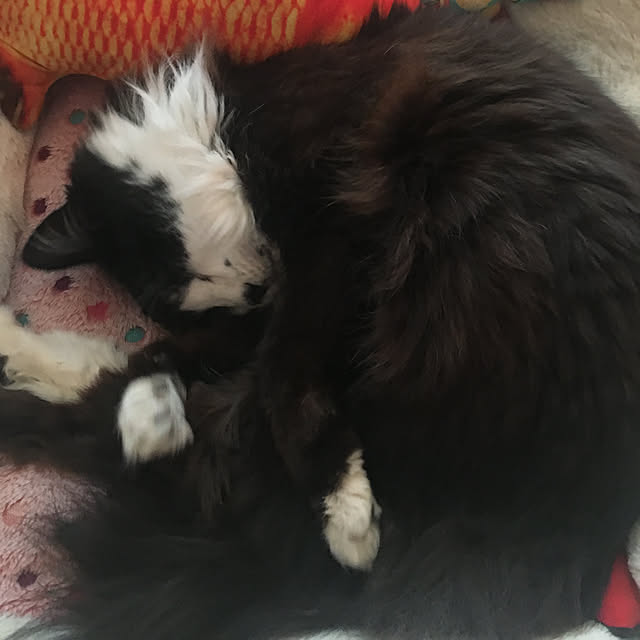 kanaさんの実例写真