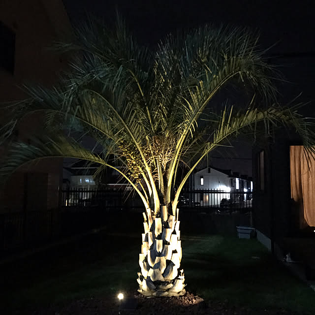 s__cubeさんの実例写真