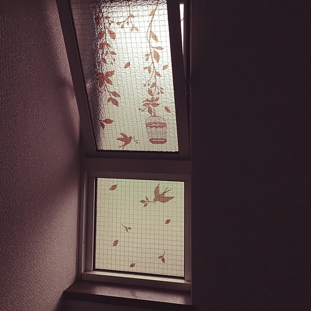 Aiさんの実例写真