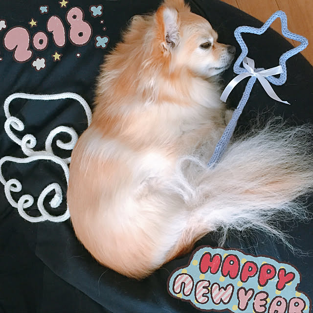 noncaさんの実例写真