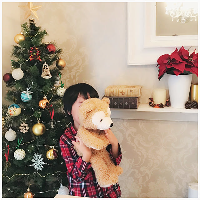 ayuさんの実例写真