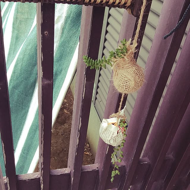 玄関/入り口/多肉植物/観葉植物のインテリア実例 - 2016-06-21 12:23:29
