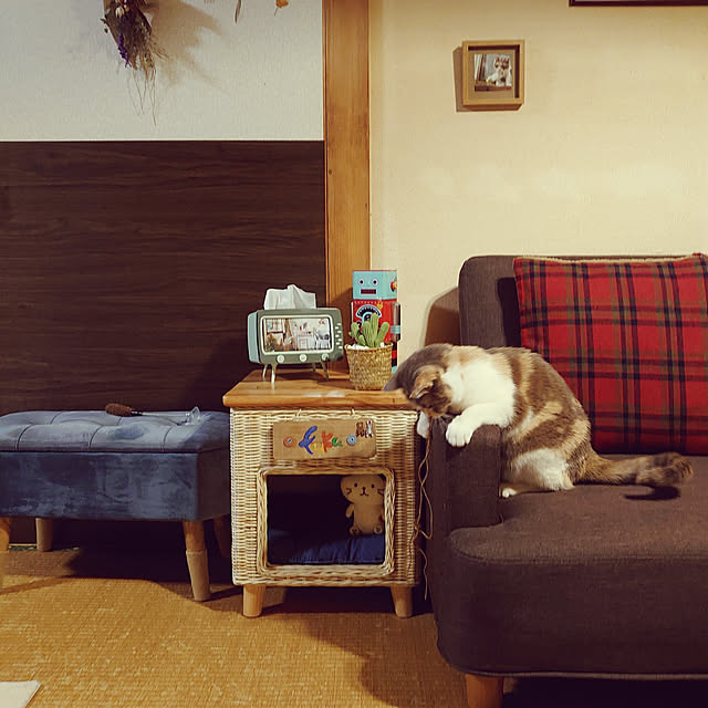 fukuさんの実例写真