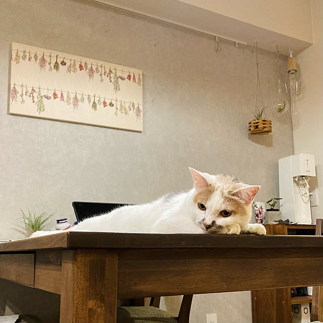 i_ayuyuさんの実例写真