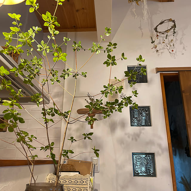 nihiさんの部屋