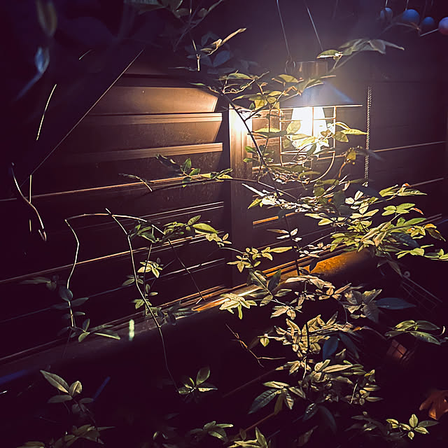 chacoさんの部屋