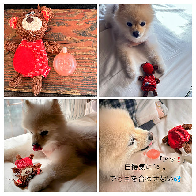 akaidarumaさんの部屋