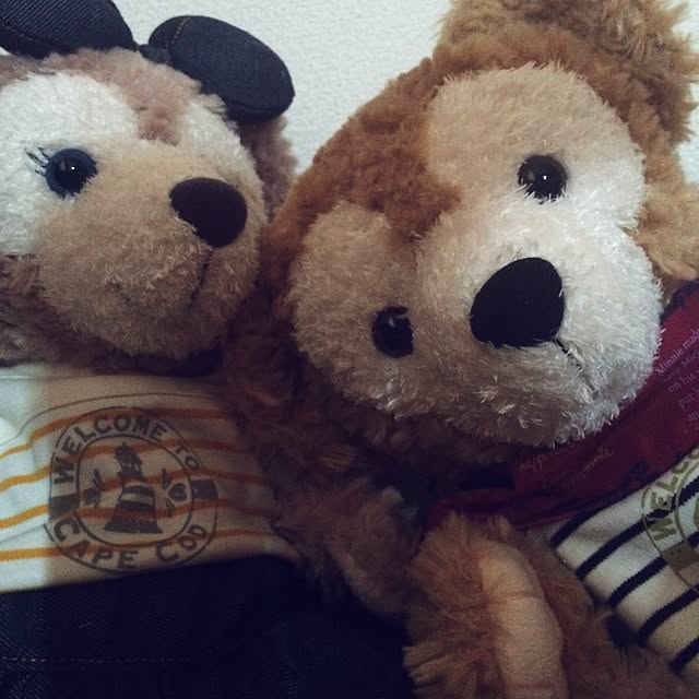 Shanshanさんの実例写真