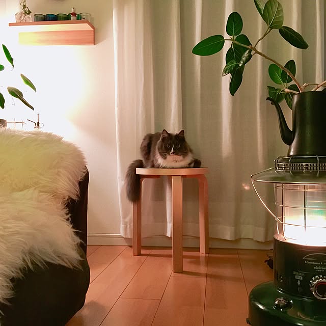 mangomilkさんの実例写真