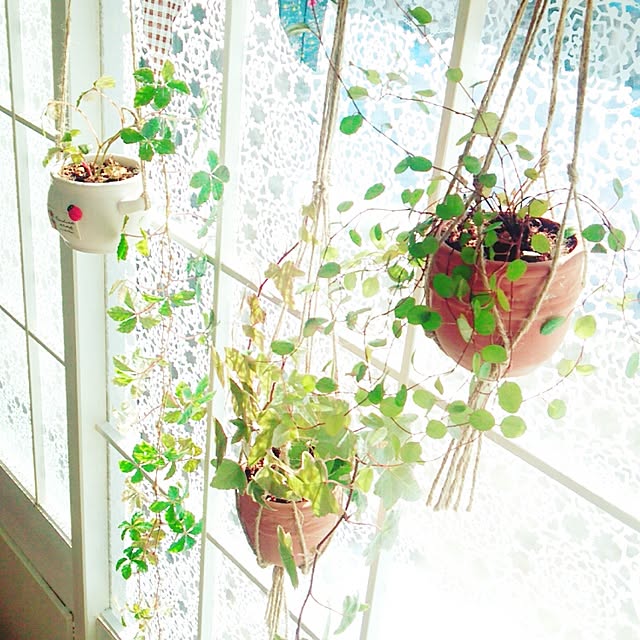 cocolorさんの実例写真