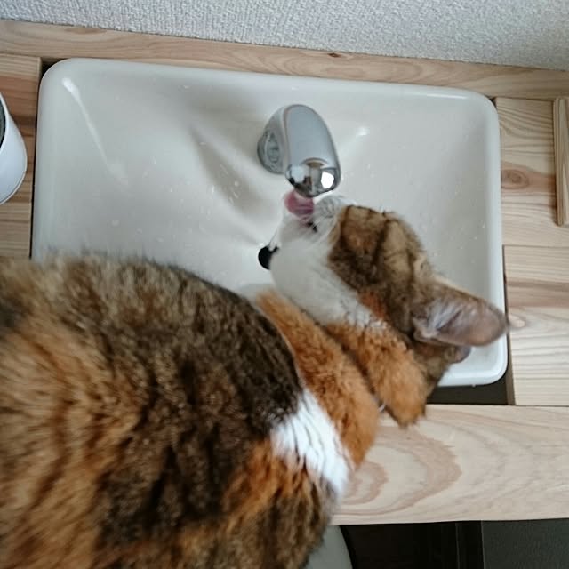 berariさんの実例写真