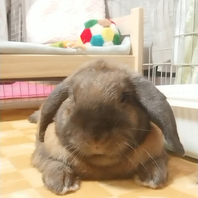 mariaさんの実例写真