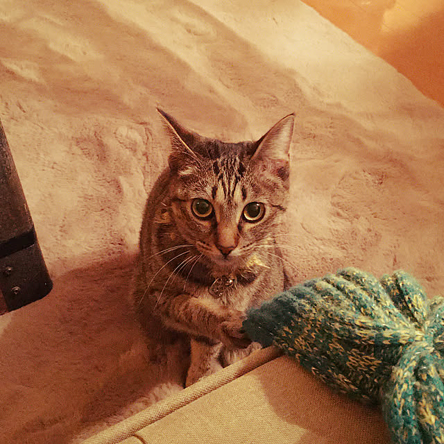 Mさんの実例写真