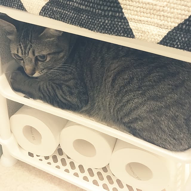 sayasさんの実例写真
