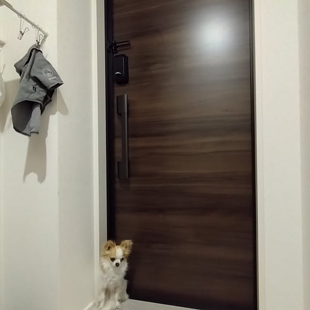 toratanさんの実例写真