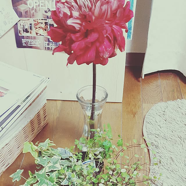 yukiさんの実例写真