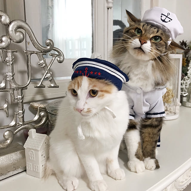 yuchiさんの実例写真