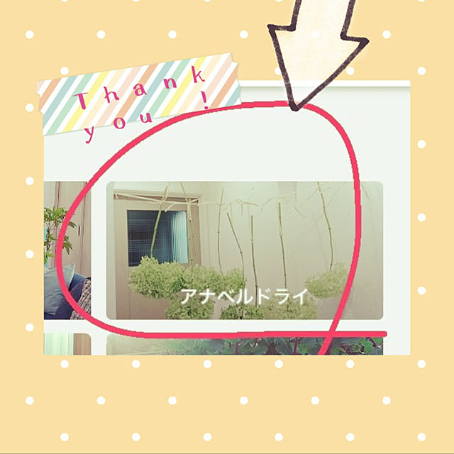 ippu0303Karinさんの実例写真