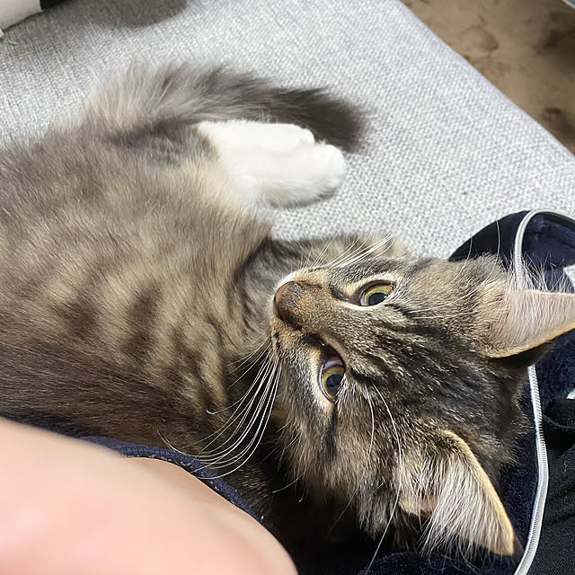 sh.0514さんの実例写真