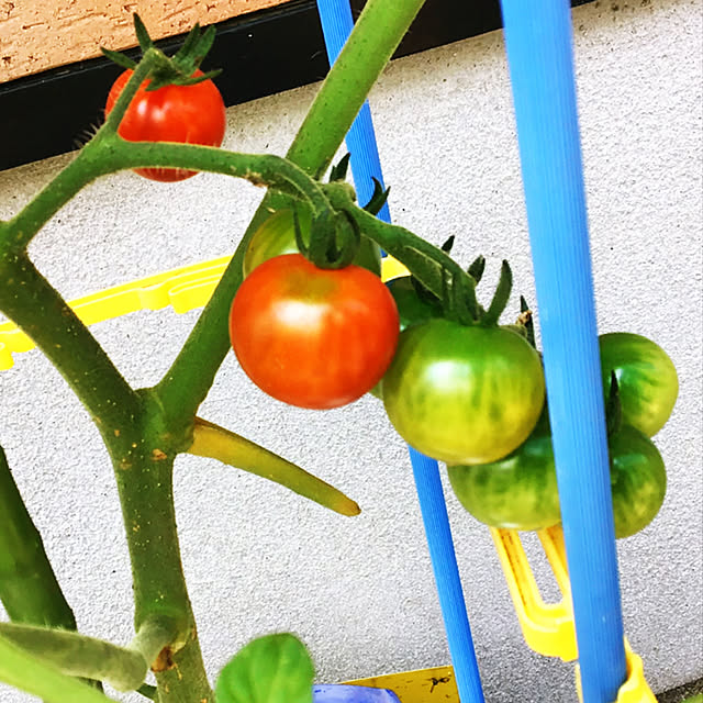 sunabaさんの実例写真