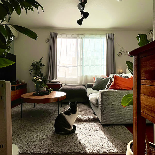 naさんの実例写真