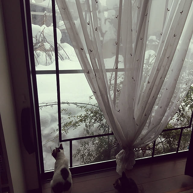 実例写真