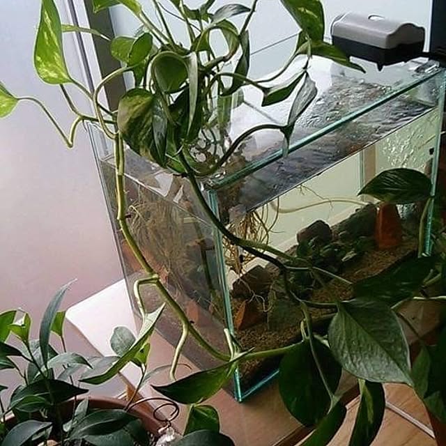 mi-saさんの部屋