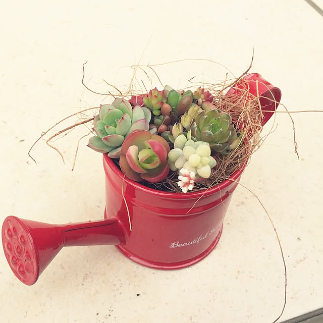 yu-iさんの実例写真