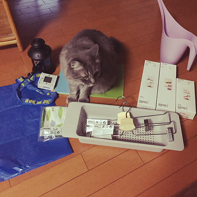 naworinさんの実例写真