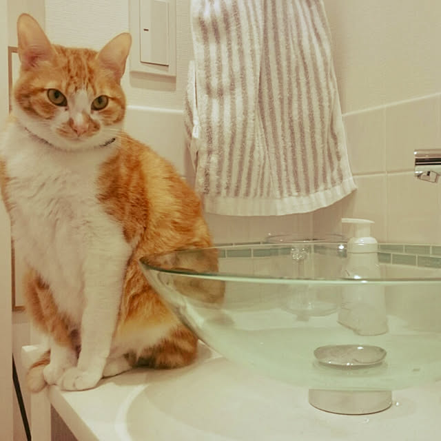Amiamiさんの実例写真