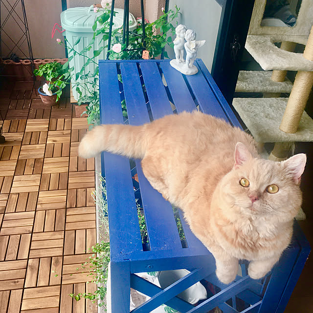 naokoさんの部屋