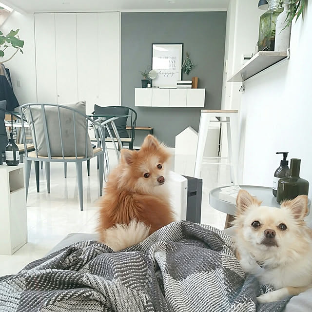 mi-さんの実例写真